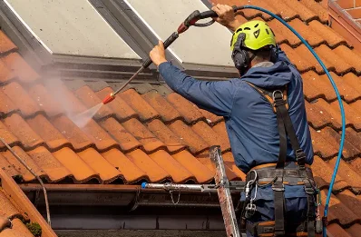 Démoussage et hydrofuge de toiture à Prinçay
